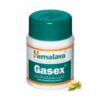 HIMALAYA Gasex - 100 tabl.