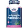 HAYA LABS Andrographis Paniculata - 60 kaps.