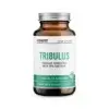 [1-2d.d.] ICONFIT Tribulus - 90 kaps.