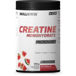 SKILL NUTRITION Micronised Creatine Monohydrate - 500g (su skoniais)
