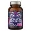 OSTROVIT Braintus Focus - 90 kaps.