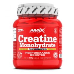 [1-2d.d.] AMIX Creatine Monohydrate - 500g